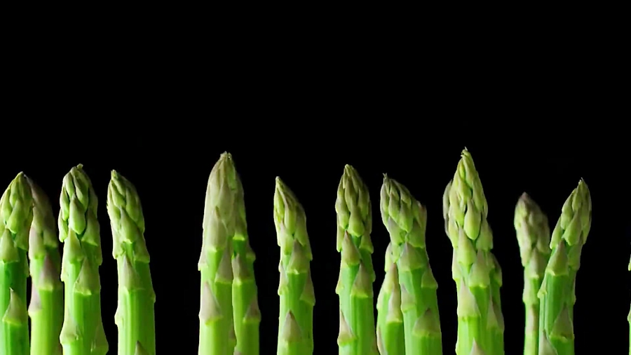 آشپزخانه از نو