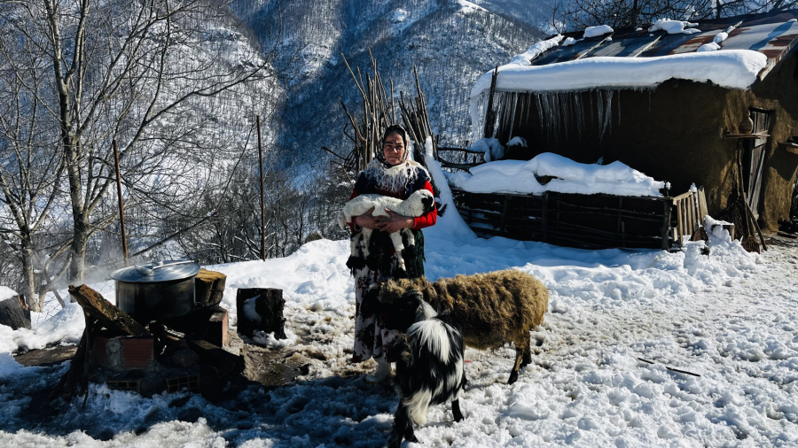 یک روز برفی پخت حلوای سیاه