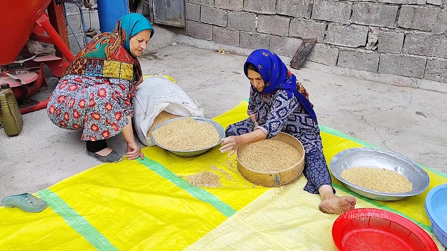 تهیه بلغور گندم به روش سنتی | پخت بلغور پلو آذربایجان