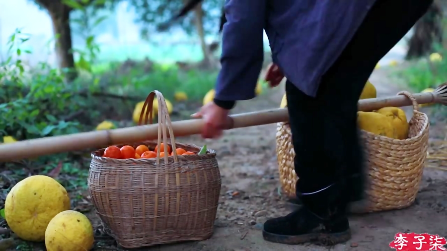 آشپزی و زندگی روستایی در طبیعت