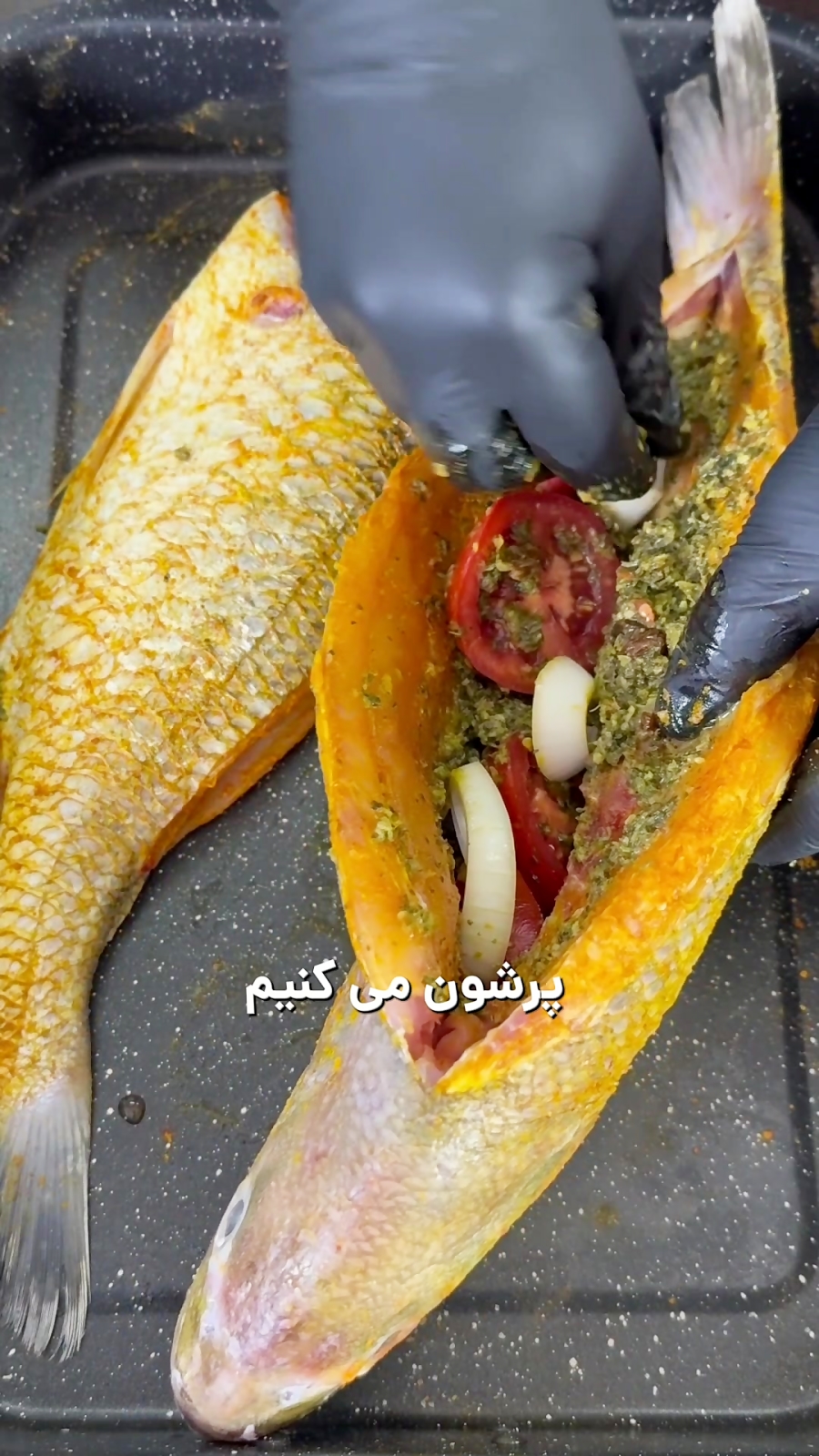 ماهی شکم پر