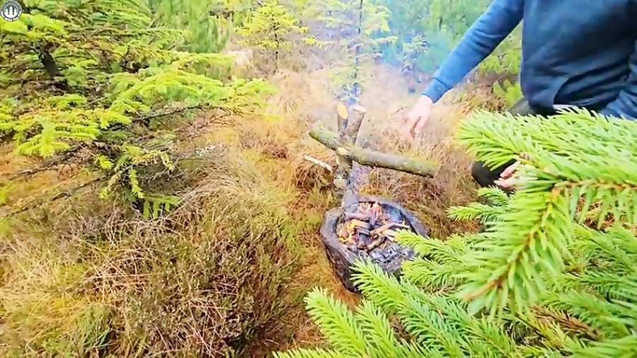 آشپزی در طبیعت