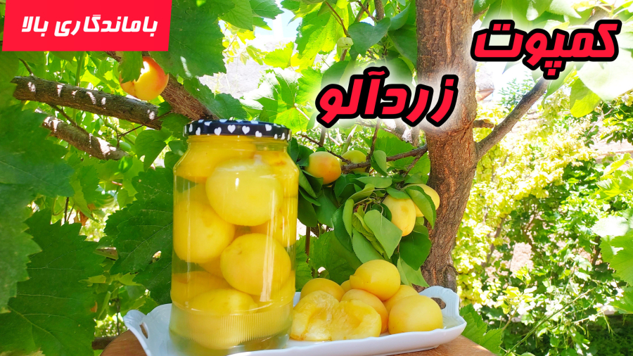 طرز تهیه کمپوت زردآلو/آموزش کمپوت زردآلو/کمپوت زردآلو