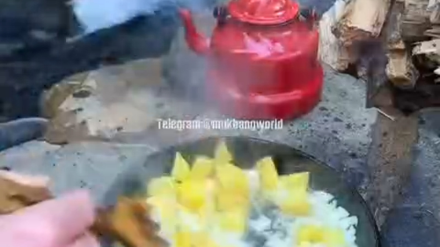 آشپزی طبیعت 4۷