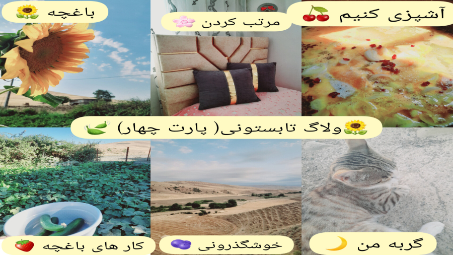 ولاگ تابستونی!( پارت چهارم) باغچه، آشپزی، مرتب کردن اتاقم، گربه من، خوشگذرونی!